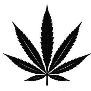 PREZENT KOLEGI LIŚĆ MARIHUANA ZIOŁO TRAWKA Y121