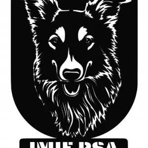 DEKORACJA OBRAZ PIES OWCZAREK + IMIĘ PREZENT Y134